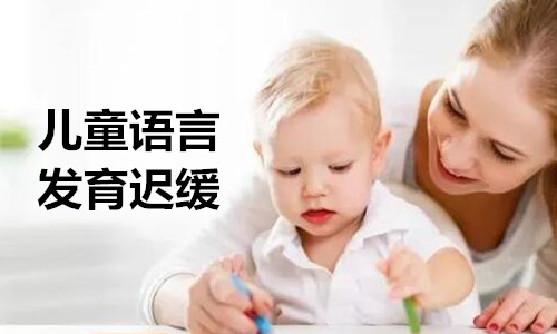 国内有没有较好的儿童语言发育迟缓训练中心地址电话