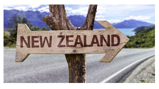 合肥新西兰留学培训班一般多少钱