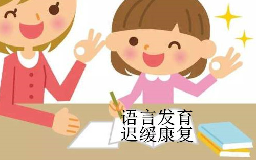青岛有没有专业的儿童语言发育迟缓矫正中心
