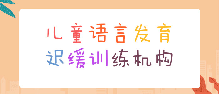 武汉儿童语言发育迟缓训练前几的机构一览表