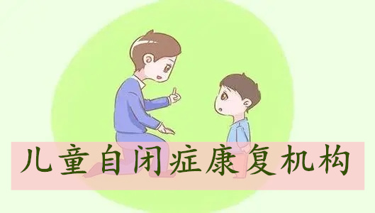 武汉汉阳区自闭症康复效果好的机构叫什么