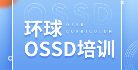 上海松江区专业OSSD培训机构