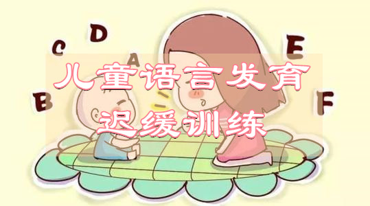 武汉儿童语言障碍口肌训练机构人气top5