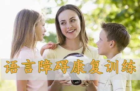 成都幼儿语言障碍康复中心当地TOP10