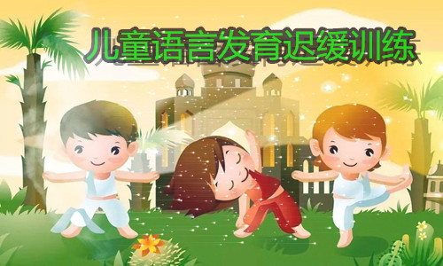 武汉名气大的希望岛儿童语言发育迟缓训练中心推荐