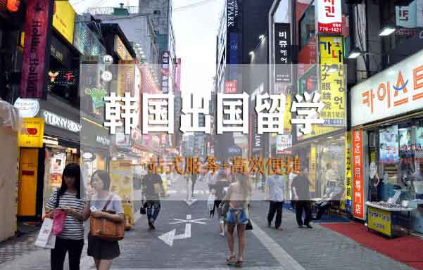 郑州去韩国留学学音乐哪个中介机构好