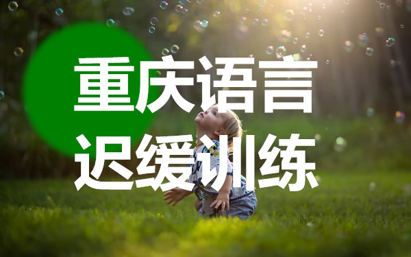 重庆本地有名的语言发育迟缓障碍康复训练机构