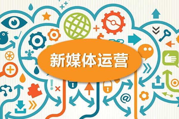 哈尔滨专业做新媒体学习的机构哪个比较好