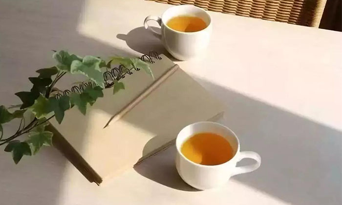 四季茶叶有什么区别
