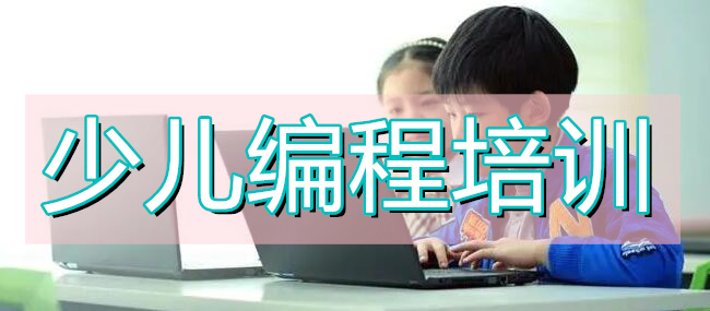 2022年滨州本地不错的少儿编程考证机构推荐