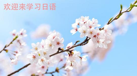 新标准日语初级单词怎么复习