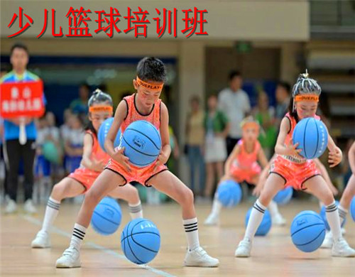 成都受欢迎的少儿篮球培训机构