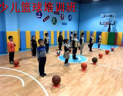 青岛师资实力强的少儿篮球培训机构