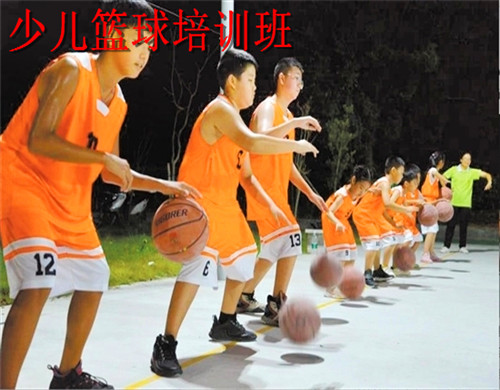 青岛少儿篮球培训机构哪家比较专业