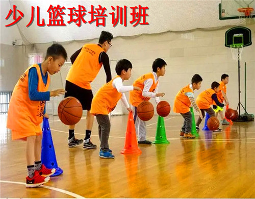 青岛口碑好的少儿篮球培训机构推荐哪家