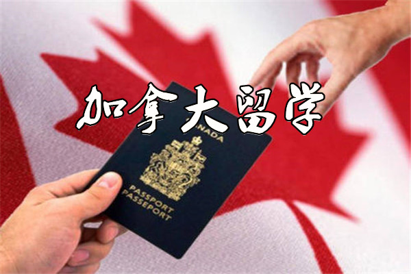 青岛申请加拿大方向留学中介全新汇总一览表