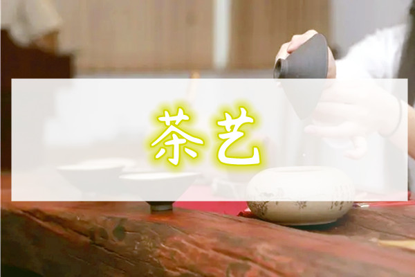 重庆茶艺师聊聊喝什么茶去湿气又好又快