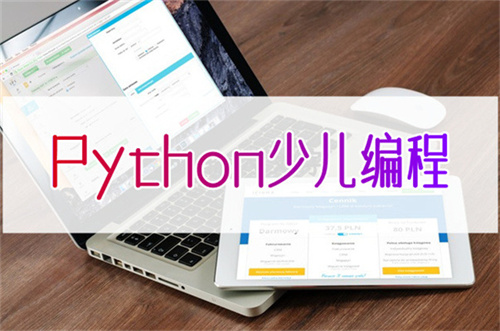 重庆有没有比较靠谱的python少儿编程培训学校