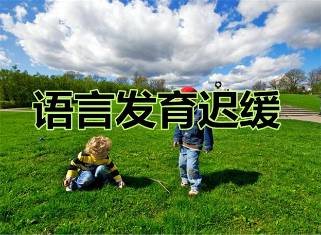 济南儿童语言发育迟缓培训学校实力排行榜名单出炉
