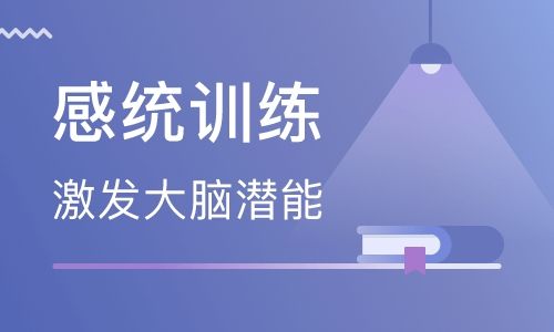 西安效果好的感统训练机构是哪家