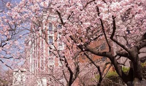 济南办理日本出国留学靠谱的机构名单汇总