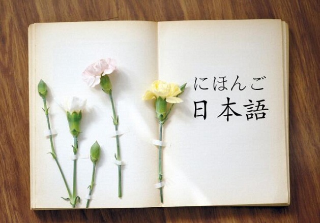 常州樱花分享表示医生意思的这三个日语词汇的区别